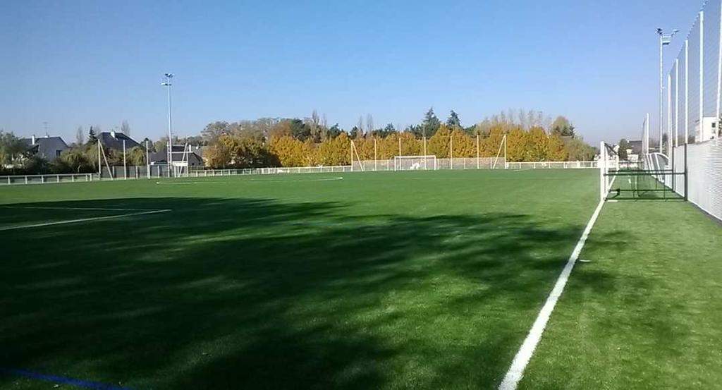 stadium photo